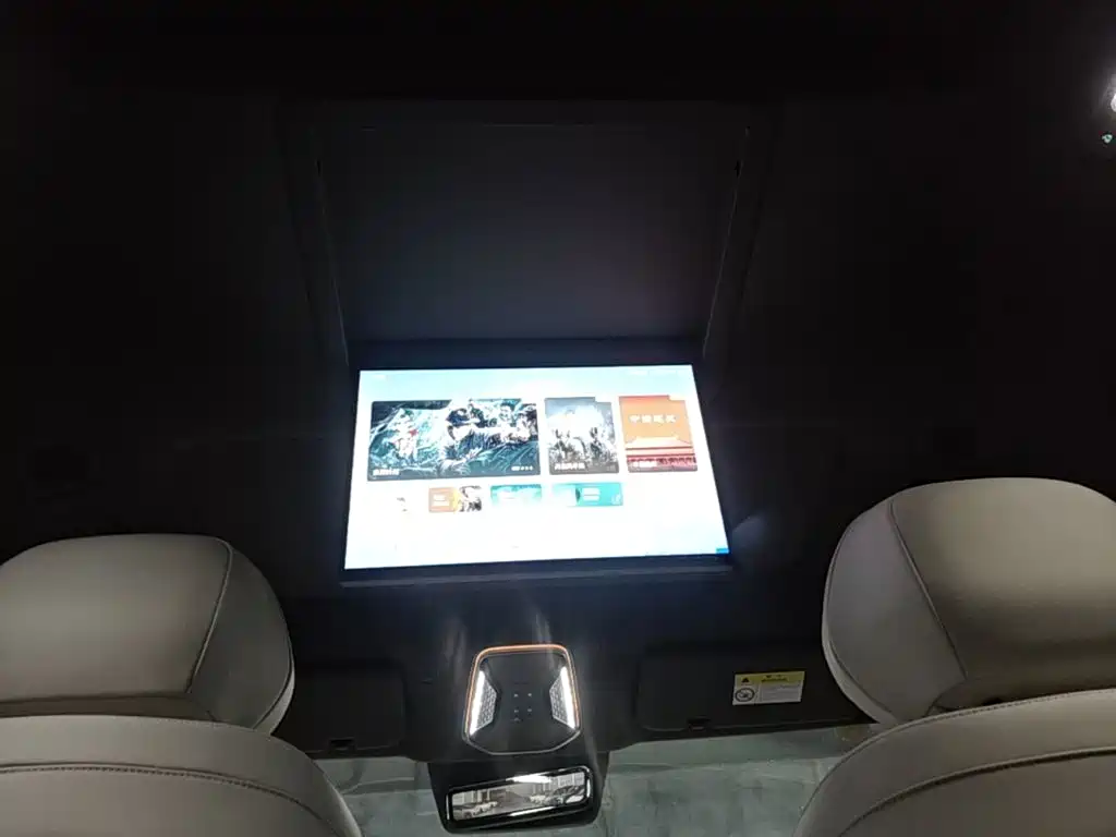 Denza Zoom N8L — миниатюра 25