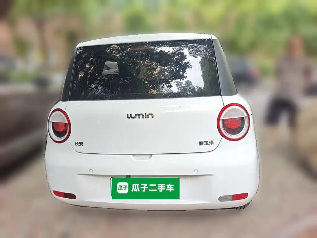 Qiyuan Lumin — миниатюра 3