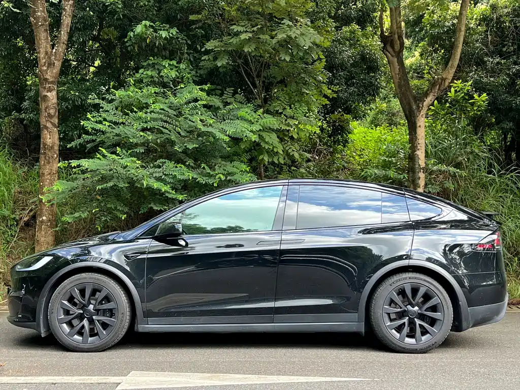 Tesla Model X — миниатюра 2
