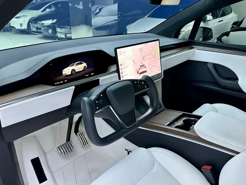 Tesla Model X — миниатюра 8
