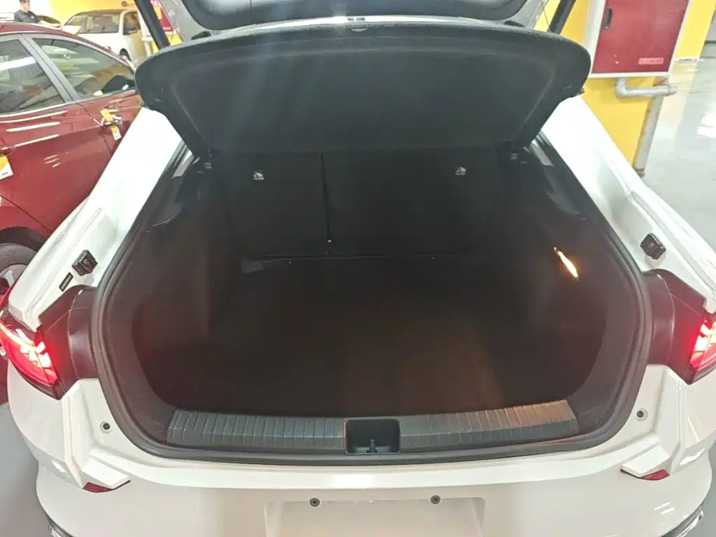 Volkswagen Lamando — миниатюра 19