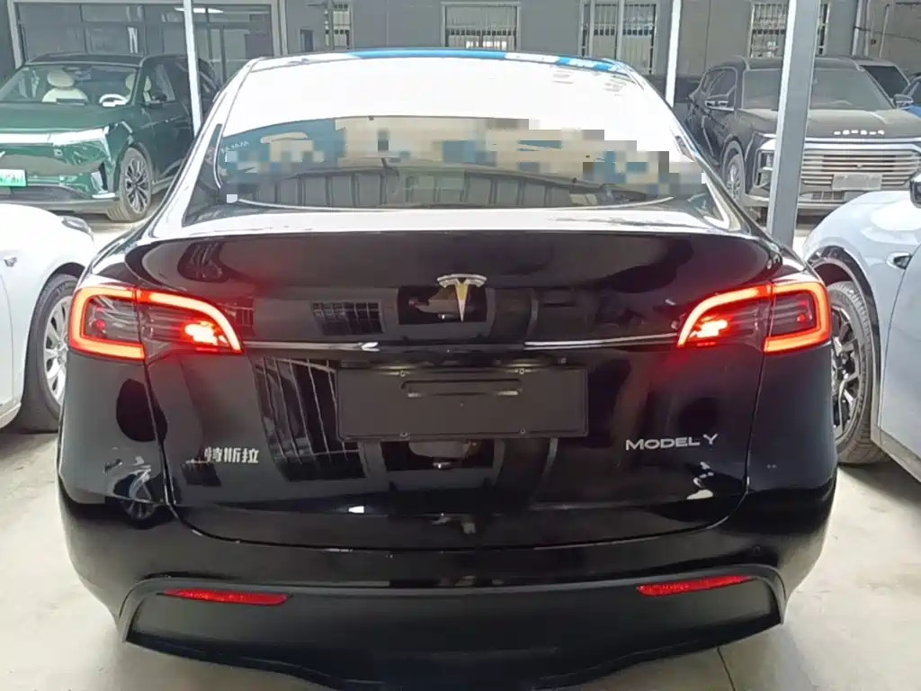 Tesla Model Y — миниатюра 6