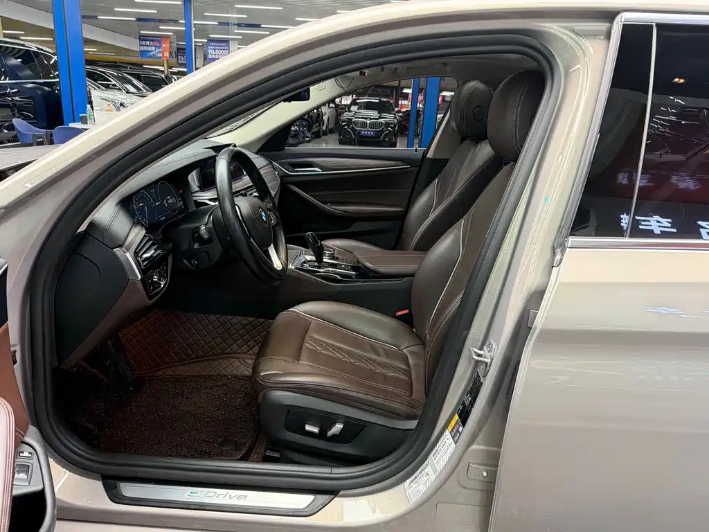BMW 5 Series New Energy 530Le Luxury Package, фото 5