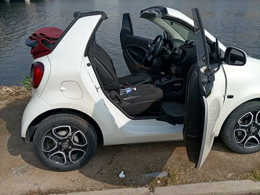 smart Smart Fortwo — миниатюра 17