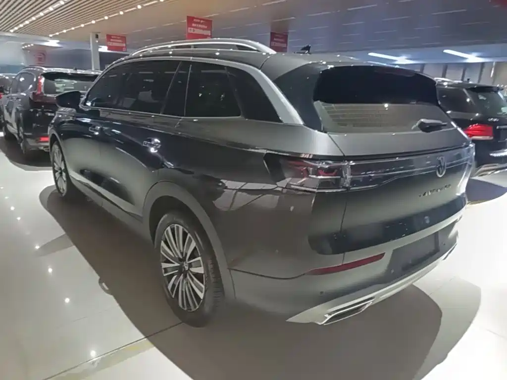 Volkswagen Tavendor — миниатюра 5