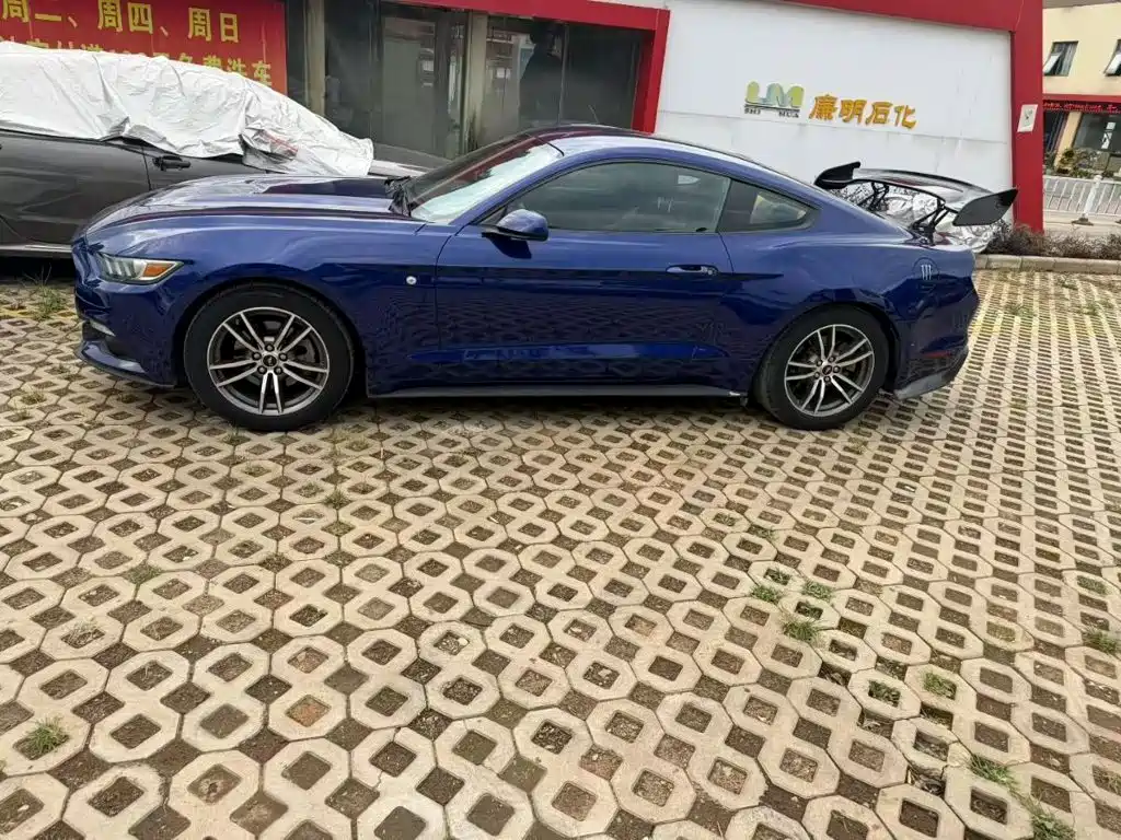 Ford Mustang — миниатюра 3