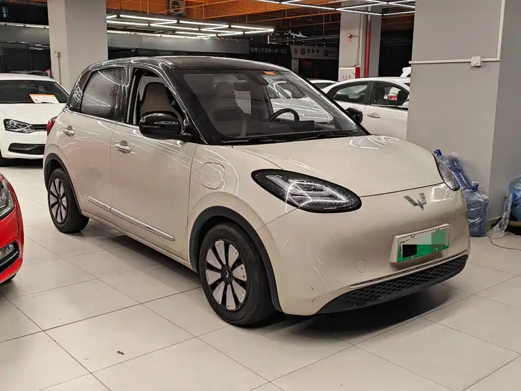 Wuling Binguo 2024 333km Enjoy