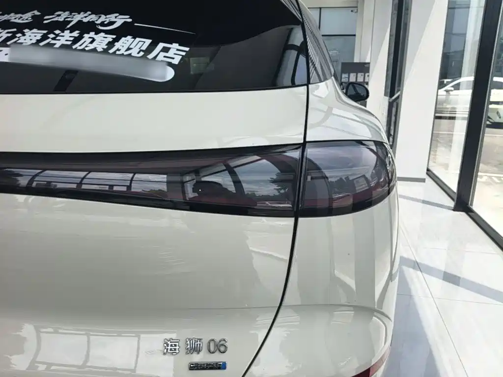 BYD Haisi 06 — миниатюра 8