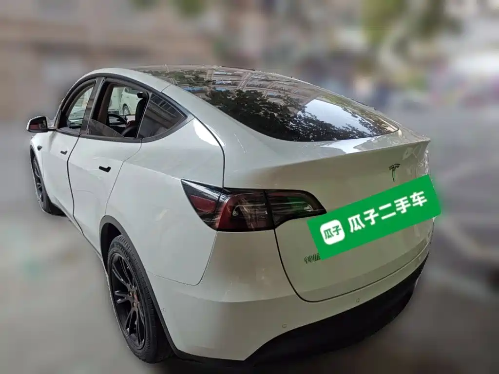 Tesla Model Y — миниатюра 4