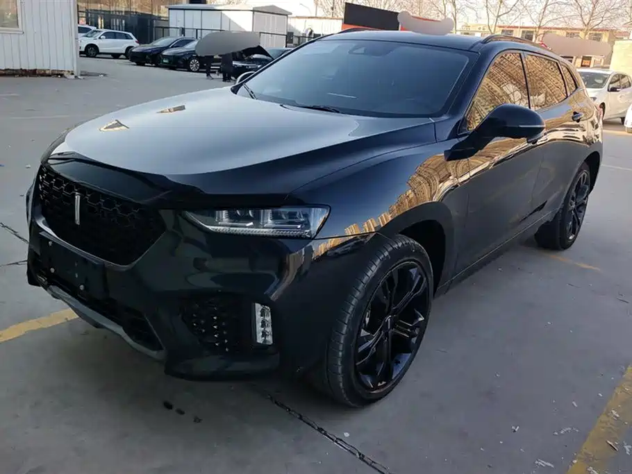 WEI PAI WEI BRAND VV7