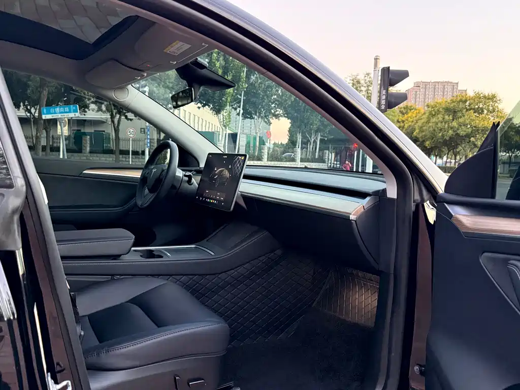 Tesla Model Y — миниатюра 7