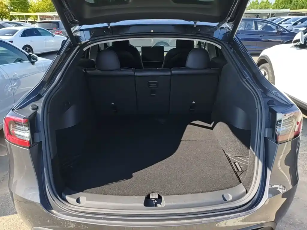 Tesla Model Y — миниатюра 19