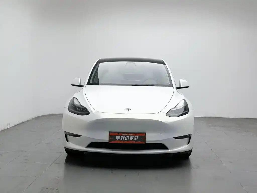 Tesla Model Y — миниатюра 3