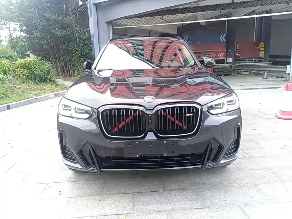 BMW X3 — миниатюра 3