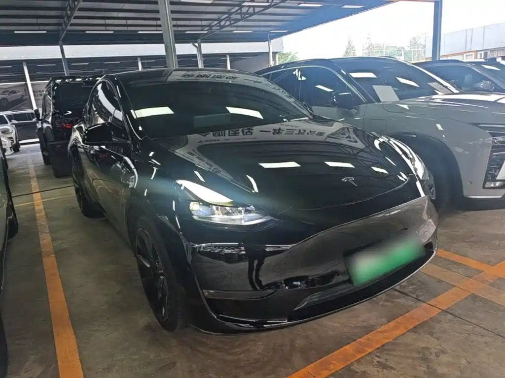 Tesla Model Y — миниатюра 4
