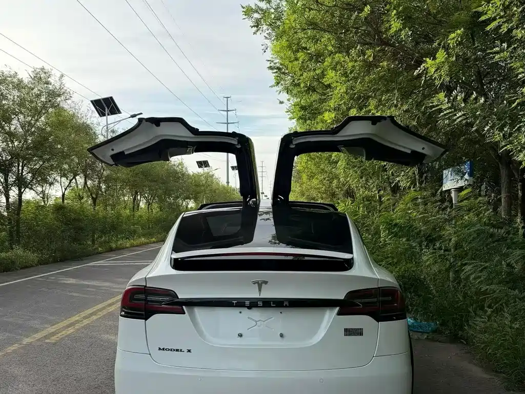 Tesla Model X — миниатюра 8