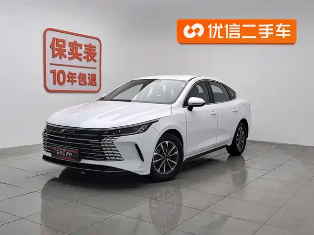 BYD DESTROYER 05 2024