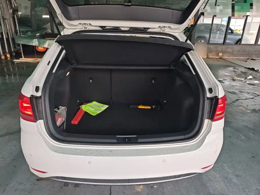 Volkswagen Gran Lavida — миниатюра 19
