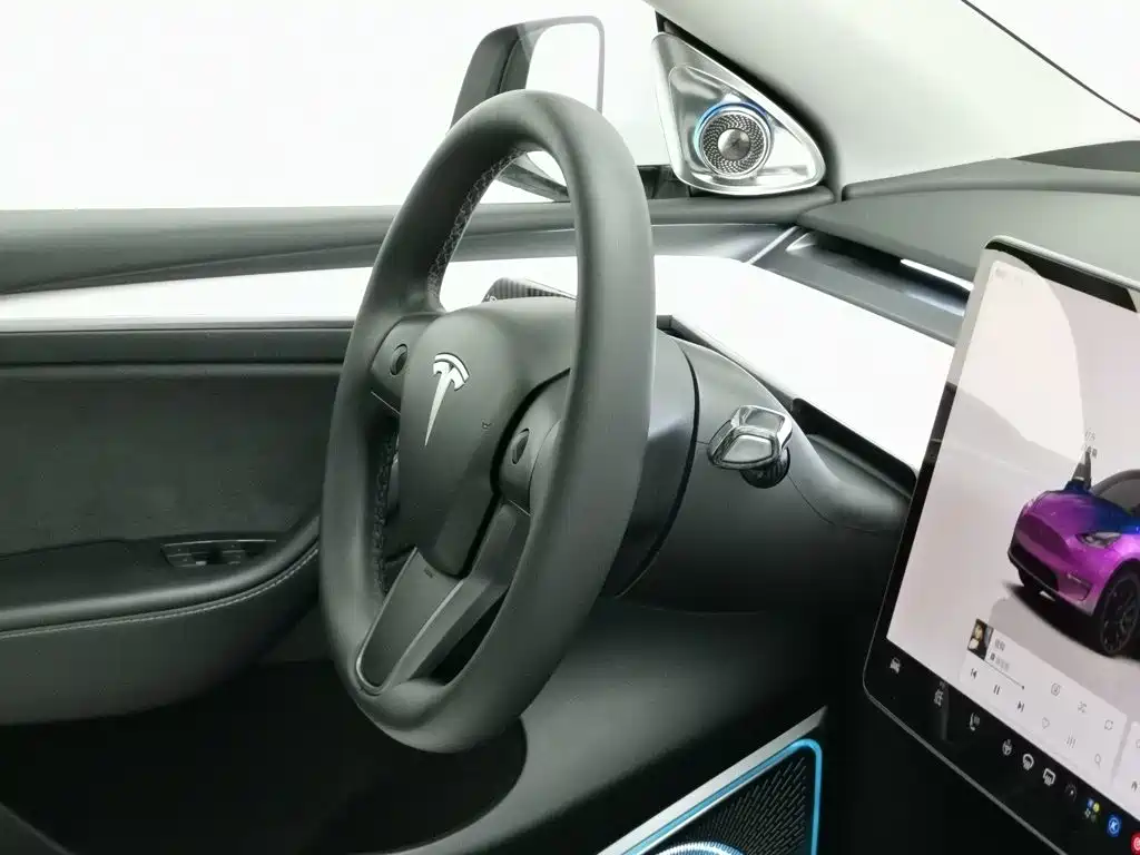 Tesla Model Y — миниатюра 22