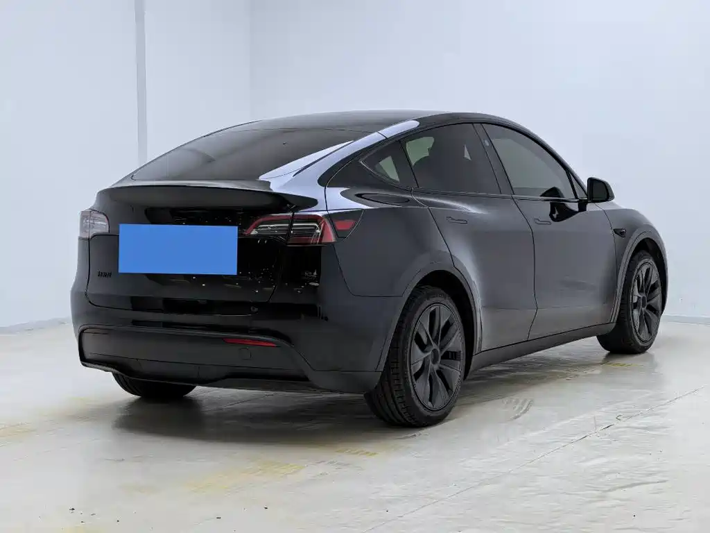 Tesla Model Y — миниатюра 12