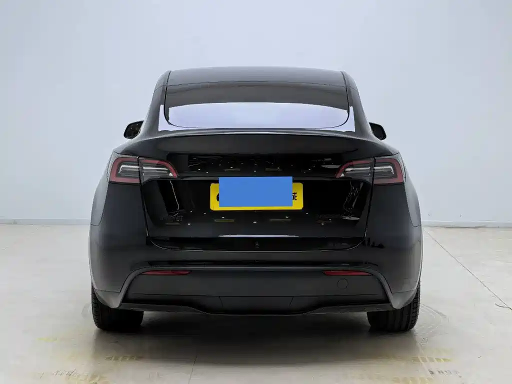 Tesla Model Y — миниатюра 15