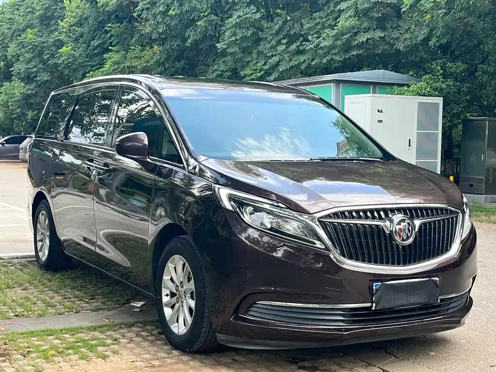 Buick GL8 — миниатюра 3