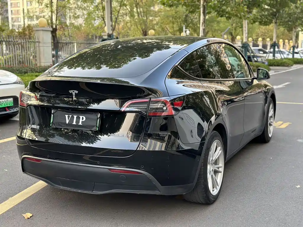 Tesla Model Y — миниатюра 9