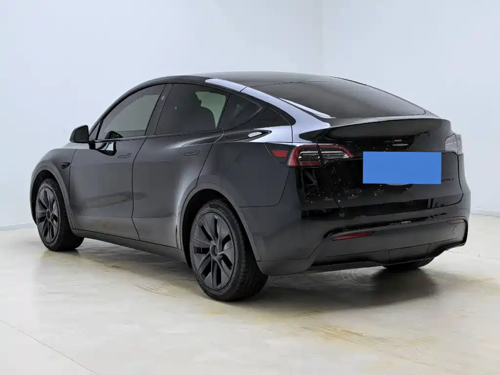 Tesla Model Y — миниатюра 13