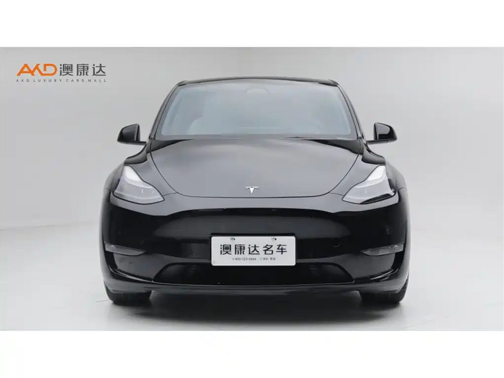 Tesla Model Y — миниатюра 2