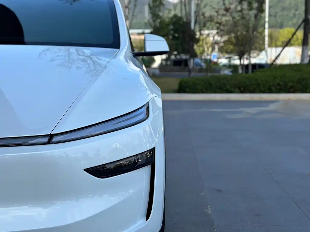 Tesla Model Y — миниатюра 9