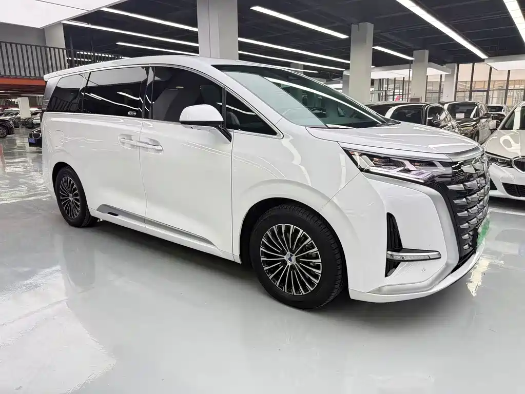 Denza Denza D9 — миниатюра 3