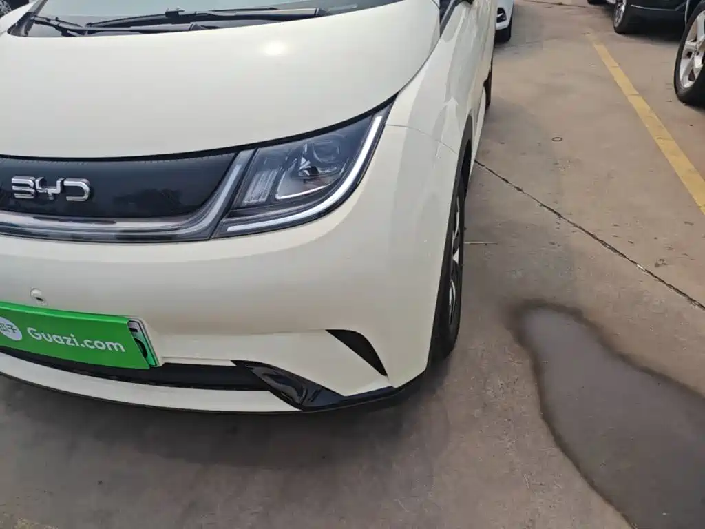 BYD Dolphin — миниатюра 24