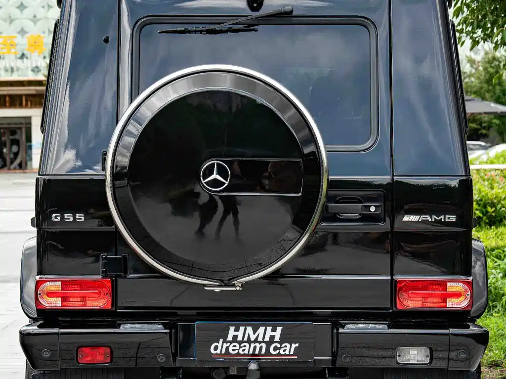 Mercedes-Benz G-Class A MG G AMG 2009 AMG G 55