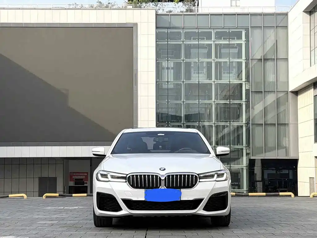 BMW 5 Series — миниатюра 2