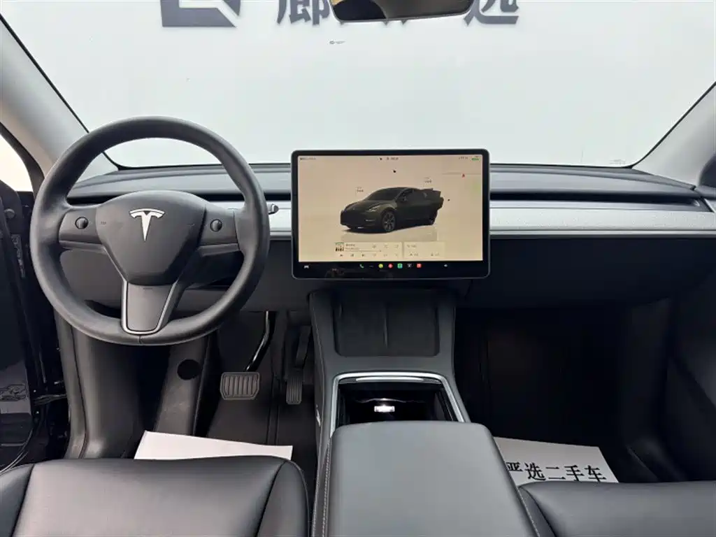 Tesla Model Y — миниатюра 9