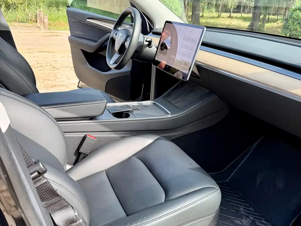 Tesla Model Y — миниатюра 12
