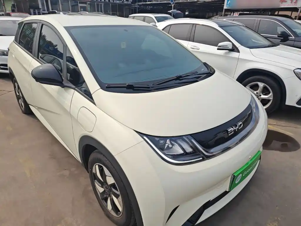 BYD Dolphin — миниатюра 4