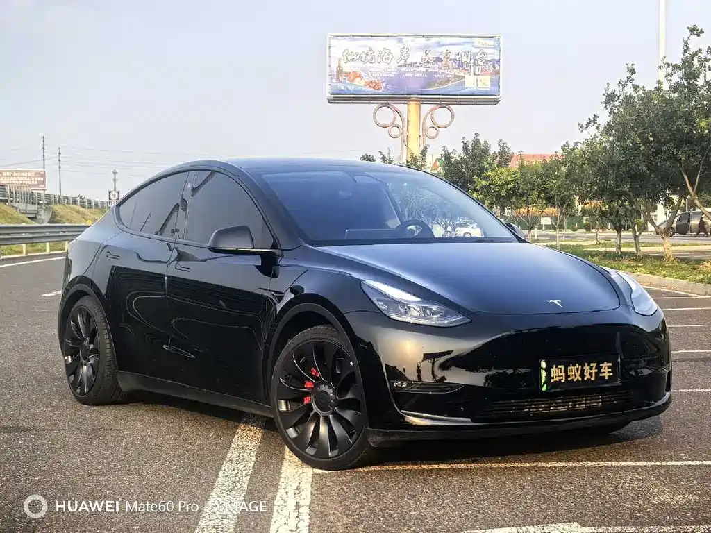 Tesla Model Y 2022 Performance