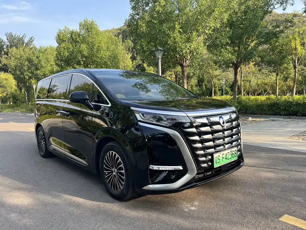 Denza Denza D9 — миниатюра 2