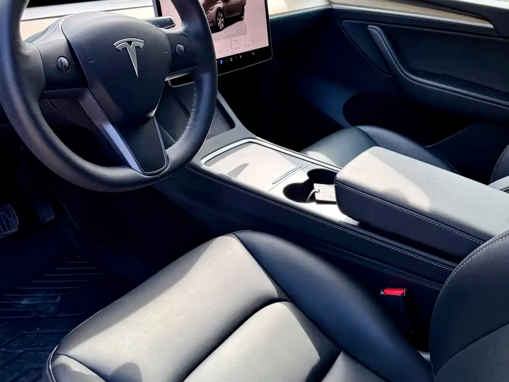 Tesla Model Y — миниатюра 5