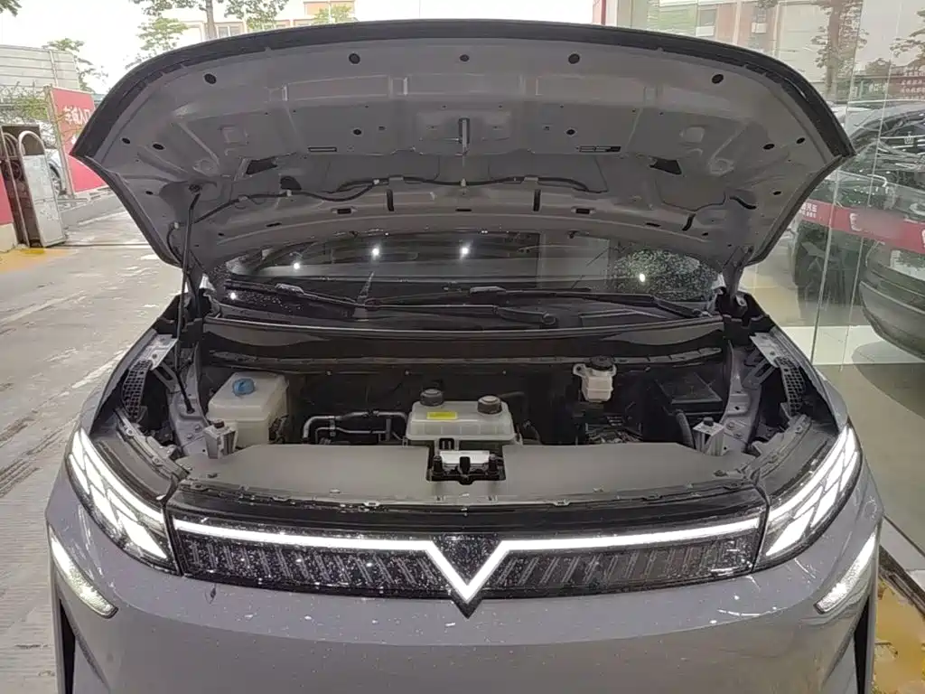 Venucia VX6 — миниатюра 20