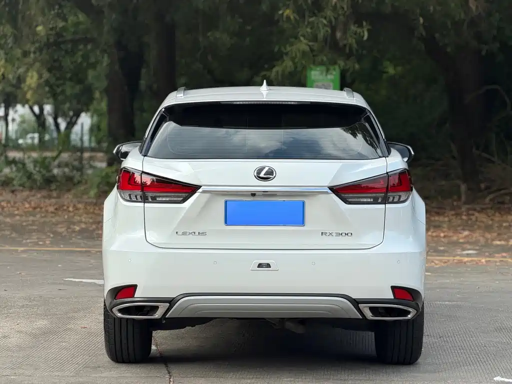 Lexus RX — миниатюра 13