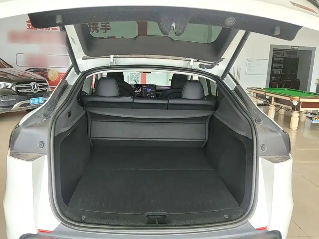 Tesla Model Y — миниатюра 19