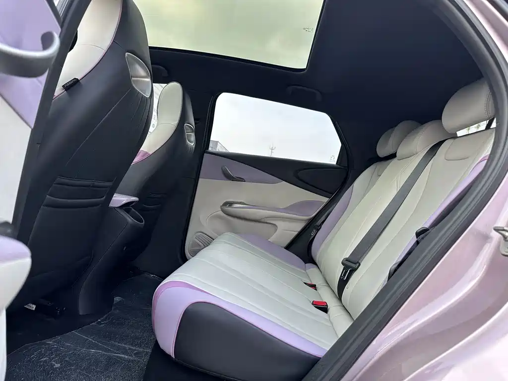 BYD Dolphin — миниатюра 7