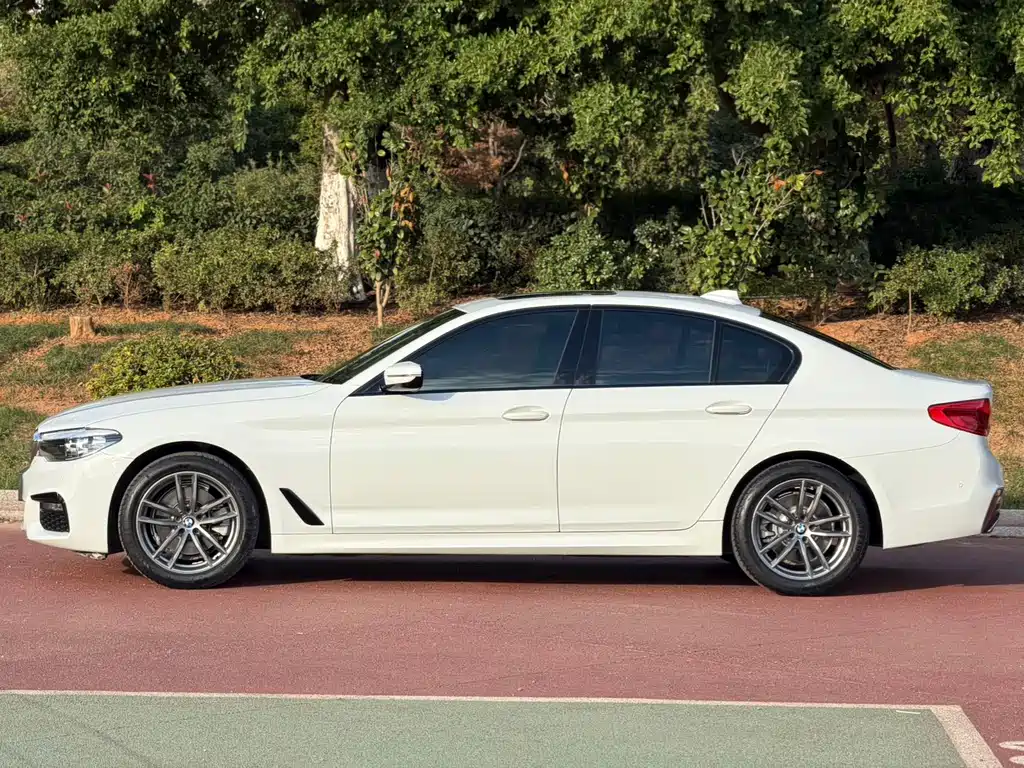 BMW 5 Series (Import) — миниатюра 5
