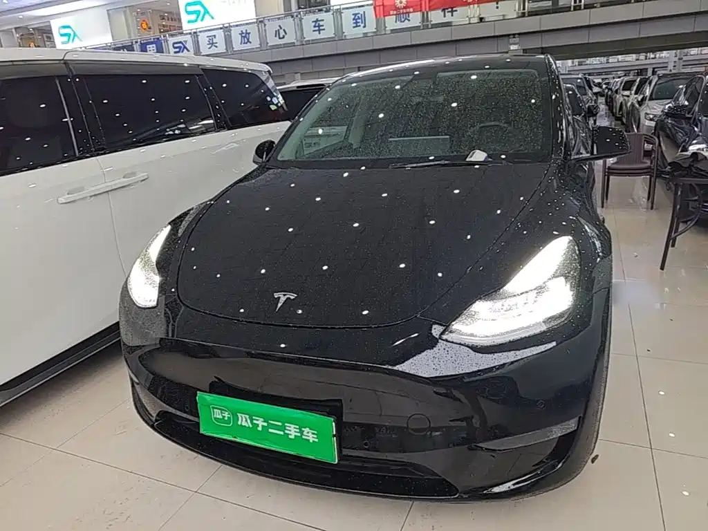Tesla Model Y — миниатюра 3