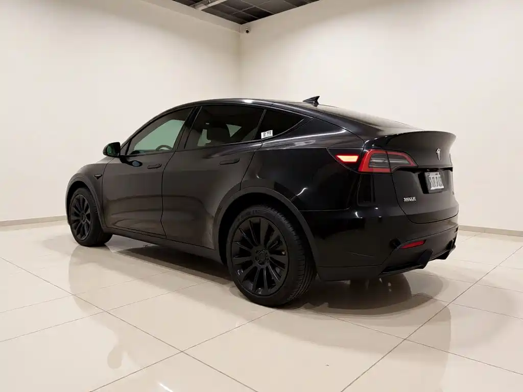 Tesla Model Y — миниатюра 4