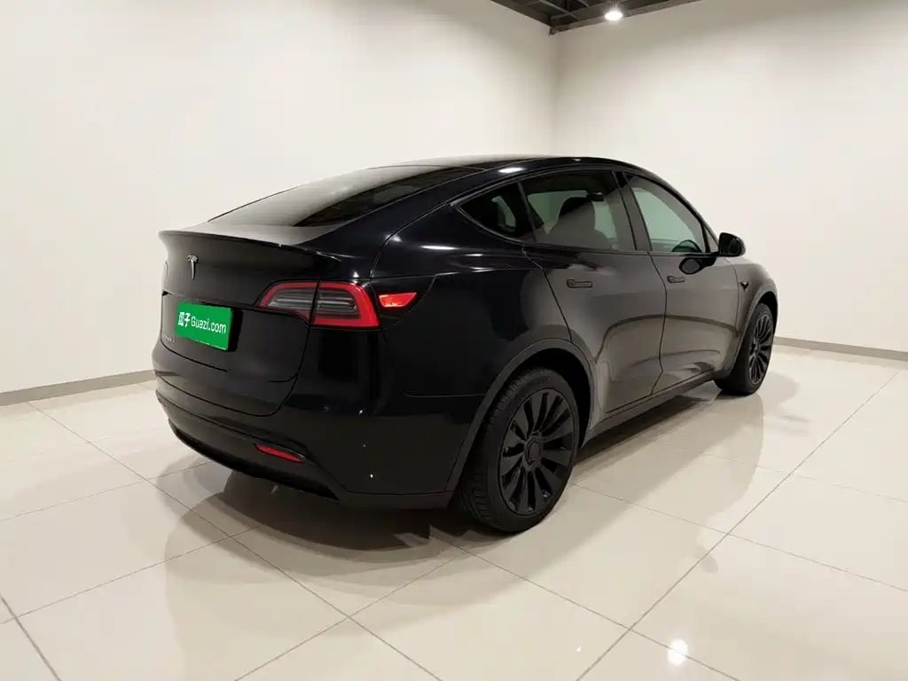 Tesla Model Y — миниатюра 6