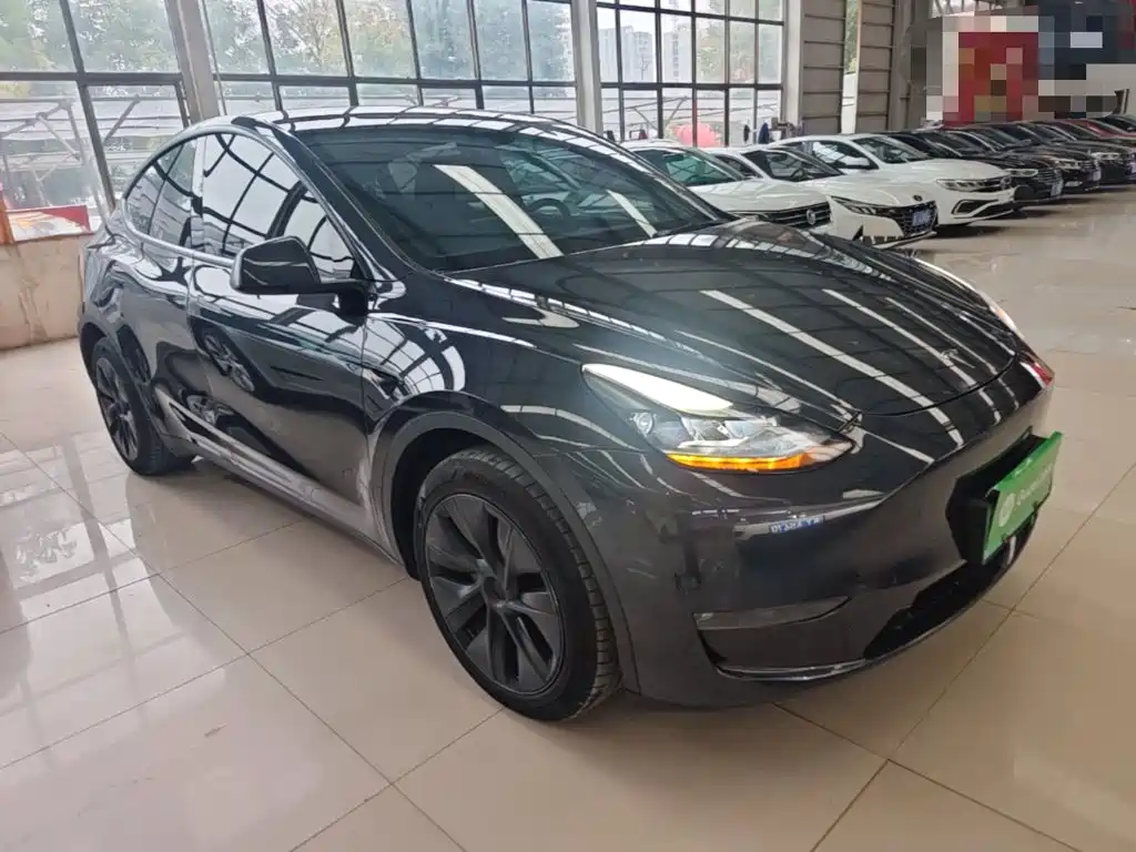 Tesla Model Y — миниатюра 4