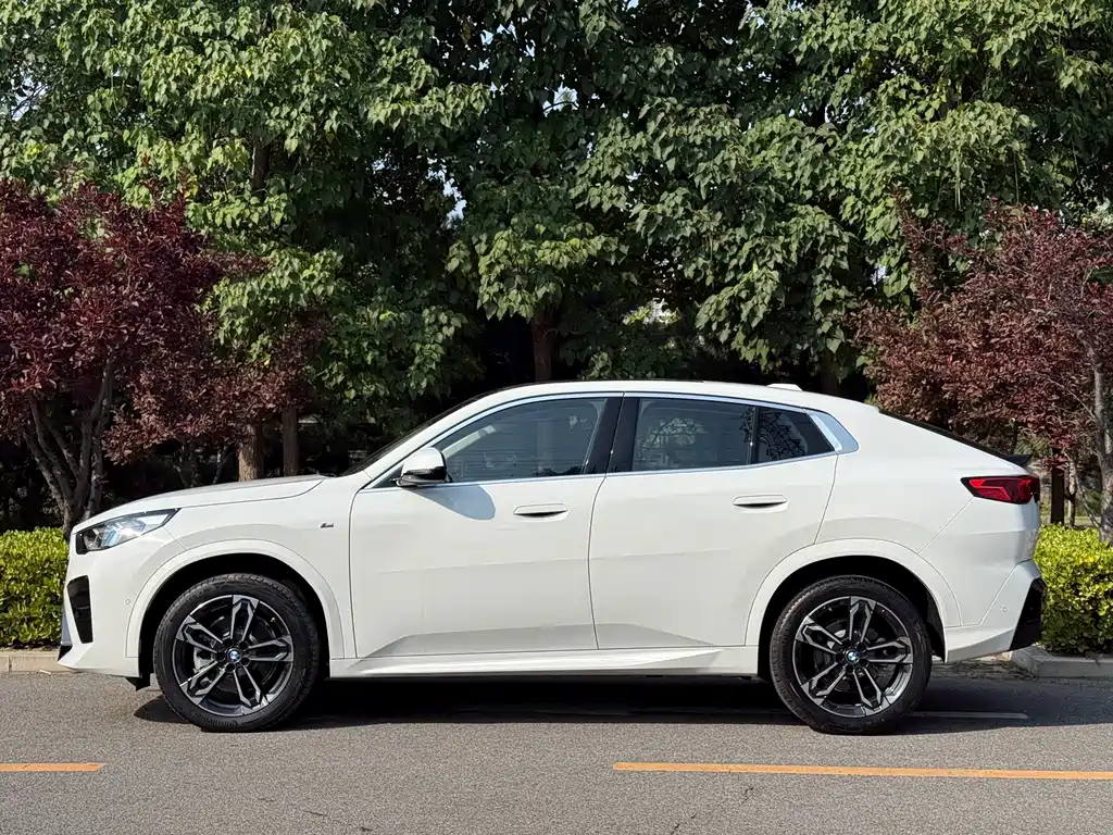 BMW X2 (Import) — миниатюра 2